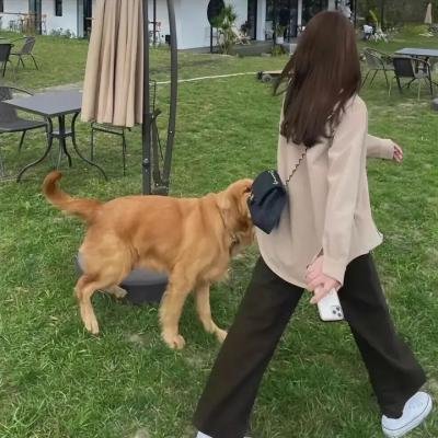 瘦人之歌